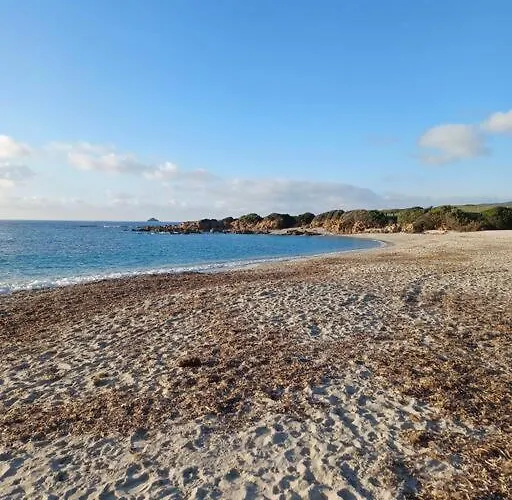 Les Cretes , Magnifique T2 4 Pers Route Des Sanguinaires アパート