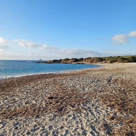Les Cretes , Magnifique T2 4 Pers Route Des Sanguinaires 아파트